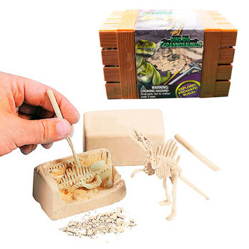 Kit Paleontología Fósil Tiranosaurio