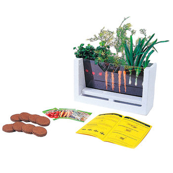 TERRARIO CRECIMIENTO DE LAS PLANTAS
