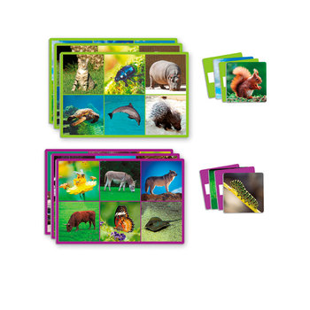Loto + Palabras Animales