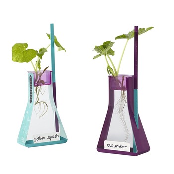 Kit Hidropónico Crecimiento De Plantas
