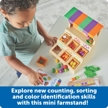 Juego De Clasificación Mini Granja