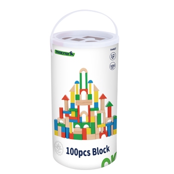 Bloques De Construcción 100 Piezas