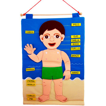 Cuerpo Humano De Género