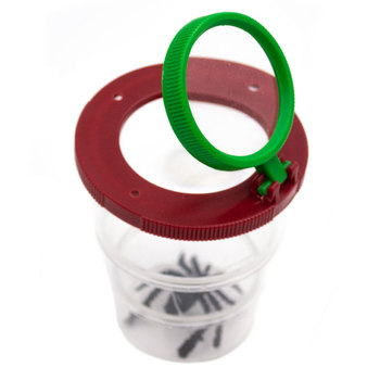 Vaso Lupa Plegable 7 X 8 Cm